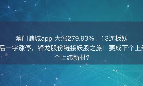 澳门赌城app 大涨279.93%！13连板妖股复牌后一字涨停，锋龙股份链接妖股之旅！要成下个上纬新材？
