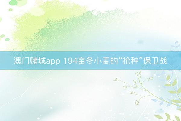澳门赌城app 194亩冬小麦的“抢种”保卫战
