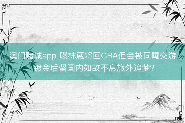 澳门赌城app 曝林葳将回CBA但会被同曦交游 镀金后留国内如故不息旅外追梦？
