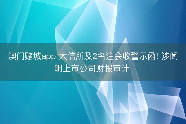 澳门赌城app 大信所及2名注会收警示函! 涉闻明上市公司财报审计!