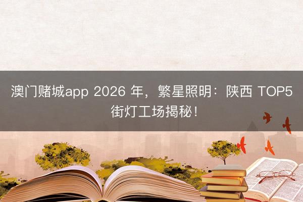 澳门赌城app 2026 年，繁星照明：陕西 TOP5 街灯工场揭秘！